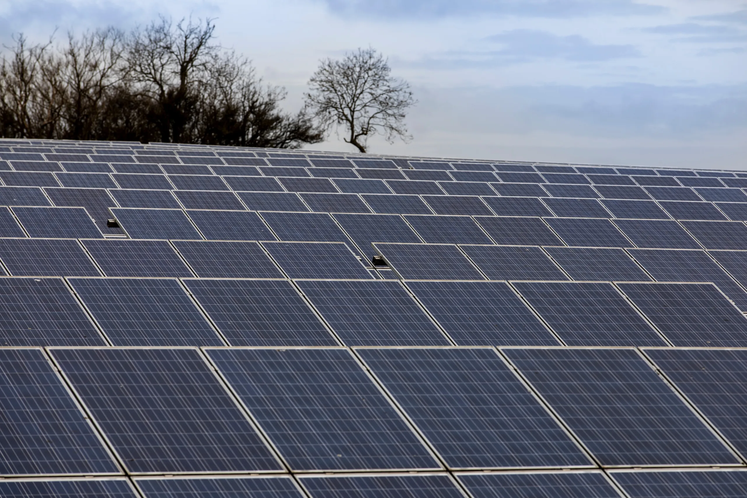 Solar Farm